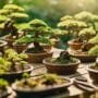 sharing bonsai knowledge together