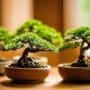 start with easy trees