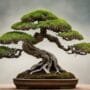 trees defy conventional norms