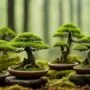 uncovering ancient tree beauty