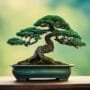 understanding japanese bonsai styles