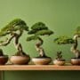 varieties for indoor spaces